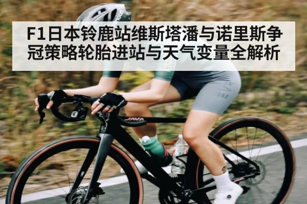 F1日本铃鹿站维斯塔潘与诺里斯争冠策略轮胎进站与天气变量全解析